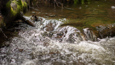 Similar image 21650550