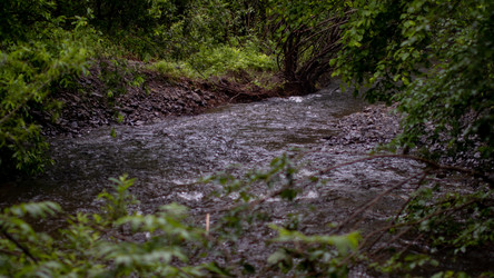 Similar image 21650552