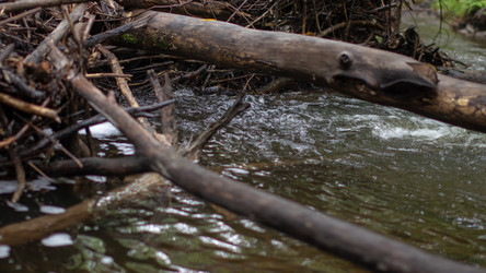 Similar image 21650554