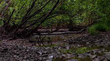 Similar image 21650556