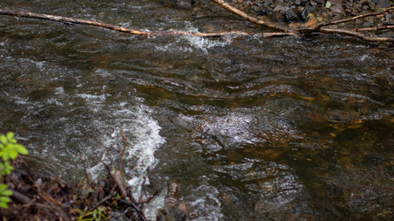 Similar image 21650558