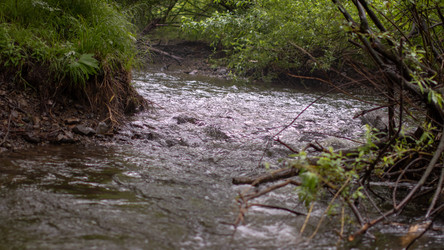 Similar image 21650837