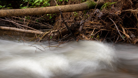 Similar image 21650839