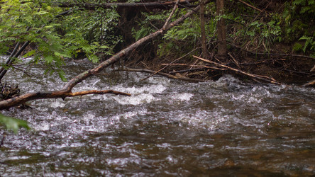 Similar image 21650841