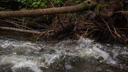 Similar image 21650845