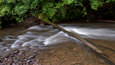 Similar image 21650855