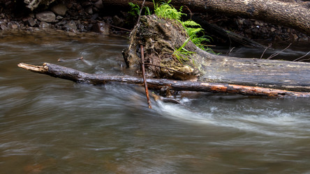 Similar image 21650859