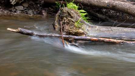 Similar image 21650869