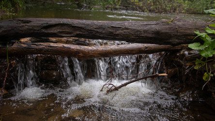 Similar image 21650871