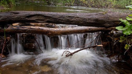 Similar image 21650875