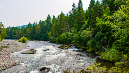 Similar image 21650341