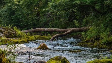 Similar image 21650342