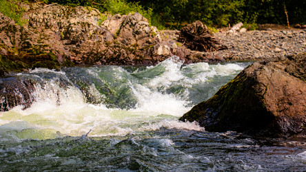 Similar image 21650343