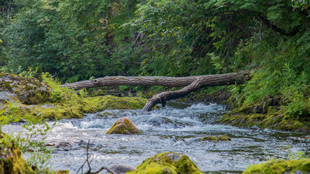 Similar image 21650344