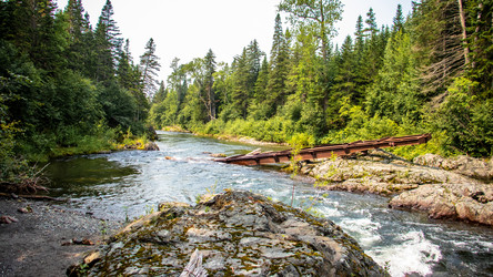 Similar image 21650345