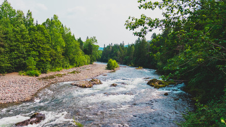 Similar image 21650346