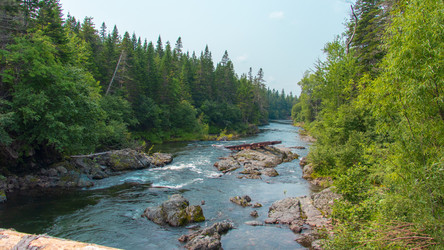 Similar image 21650348