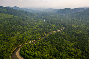 Similar image 21650349