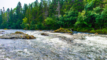 Similar image 21650352