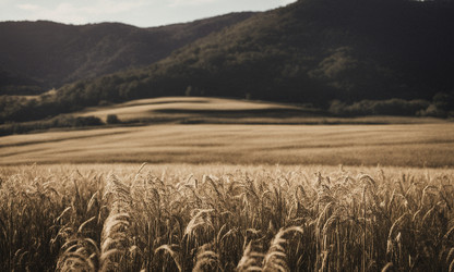 Similar image 21661311