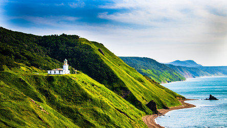 Similar image 21650585