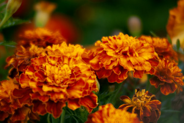 Similar image 21652544