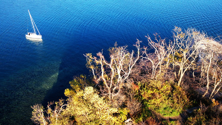 Similar image 21659154