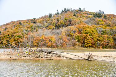 Similar image 21652221