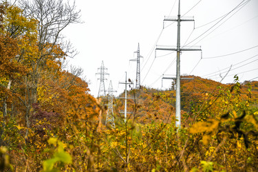 Similar image 21652223