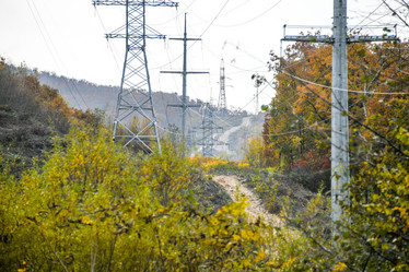 Similar image 21652225