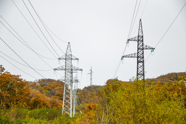 Similar image 21652226