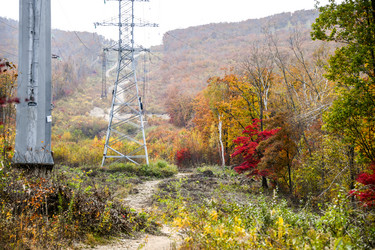 Similar image 21652227