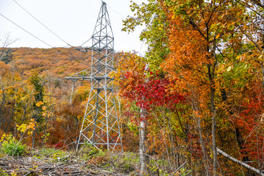 Similar image 21652228