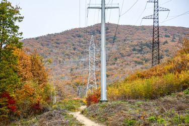 Similar image 21652229