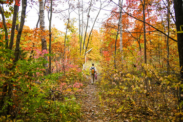 Similar image 21652234