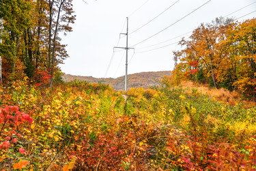 Similar image 21652235