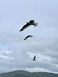 Similar image 21654381