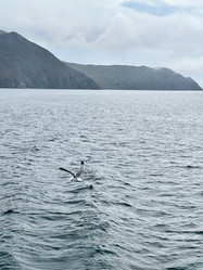 Similar image 21654383