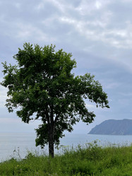 Similar image 21654396