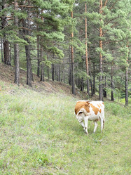 Similar image 21654406