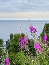 Similar image 21654409