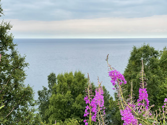 Similar image 21654412