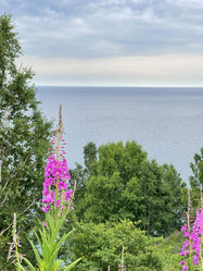 Similar image 21654414