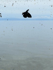 Similar image 21654424