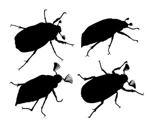 Similar image 21652237