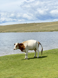 Similar image 21654433