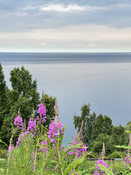 Similar image 21654434