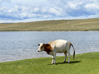 Similar image 21654438