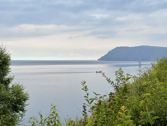 Similar image 21654441