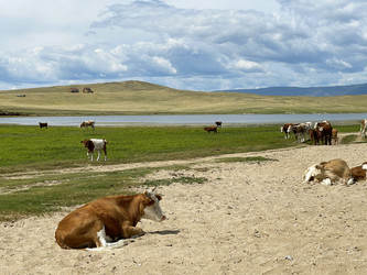 Similar image 21654446